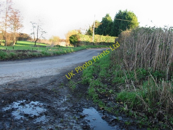 Photo 6"x4" Lane leading into Ware from the W. Ware\/TR2760 c2007