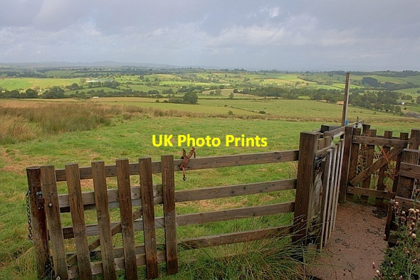 Photo 6"x4" Sheep Pen Hutton\/NY4326 c2011