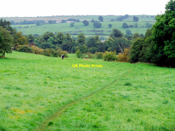 Photo 6"x4" Footpath from Holy Well to Chapel Walls, Wolsingham Upper Town\/NZ0737 c2011