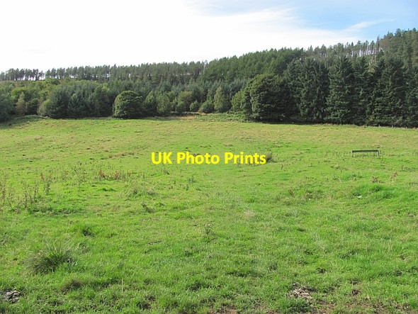 Photo 6"x4" Benarty Wood Ballingry c2011