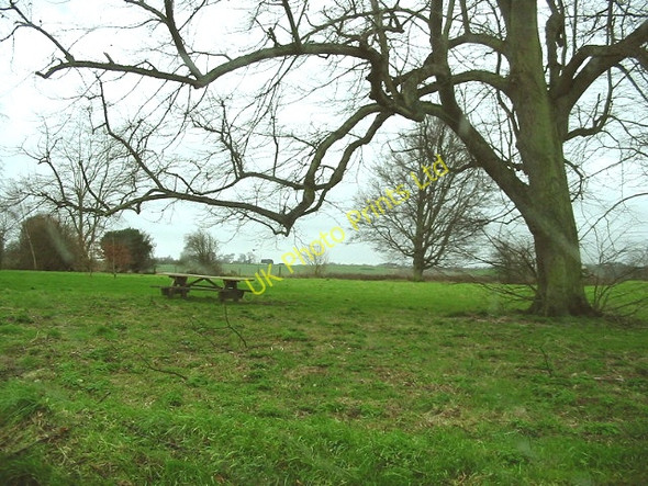 Photo 6"x4" Eastry picnic site. Statenborough c2007