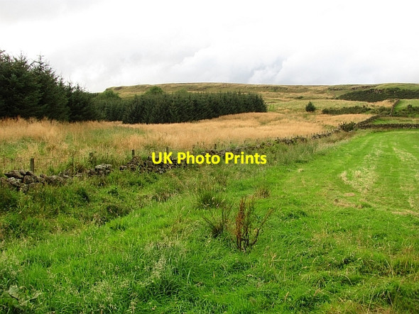 Photo 6"x4" Woodland edge Banton\/NS7579 c2011