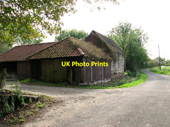 Photo 6"x4" Lane past Rookery Farm, Chippenhall Green Chippenhall Green c2011