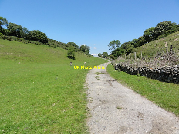 Photo 6"x4" On the path from Chapman's Pool to Kingston Kingston\/SY9579 c2011