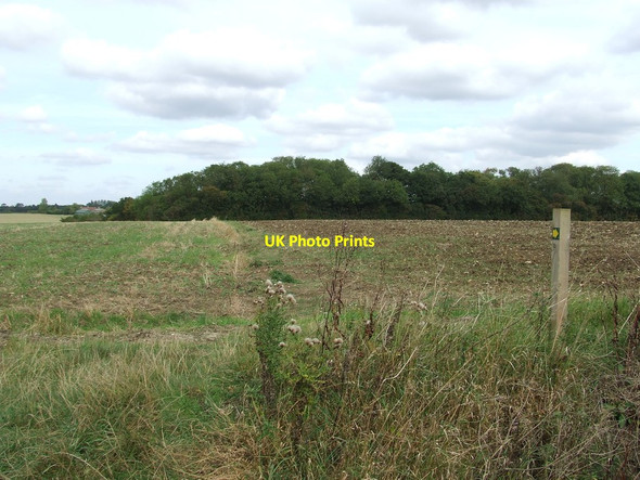 Photo 6"x4" Footpath Junction Burton End\/TL6249 c2011