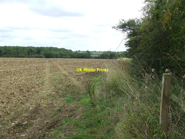 Photo 6"x4" Footpath To The Left Burton End\/TL6249 c2011
