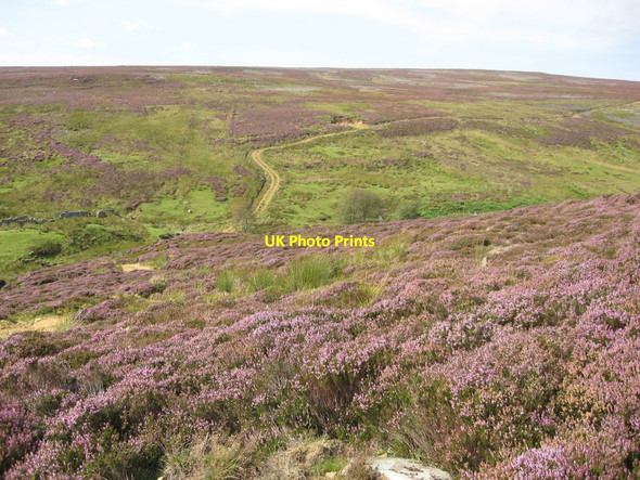 Photo 6"x4" The Head of Baysdale Baysdale Moor c2010