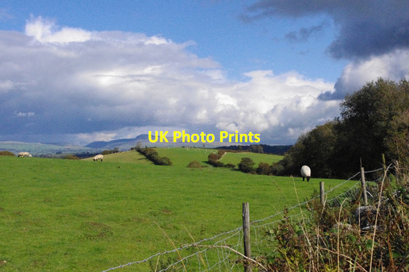 Photo 6"x4" Grazing land near Gressingham Gressingham c2011