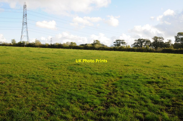Photo 6"x4" Field near Sageston Sageston c2011