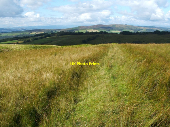Photo 6"x4" Old field boundary Bonhill c2011