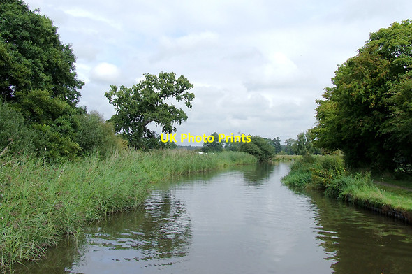 Photo 6"x4" Staffordshire and Worcestershire Canal near Tixall, Staffordshire Tixall c2011
