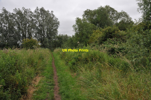 Photo 6"x4" Thames Path near Abingdon Abingdon c2011