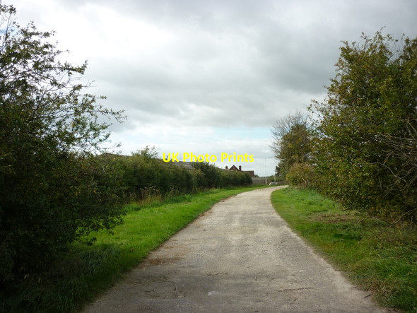 Photo 6"x4" Carr Lane towards Weel Beverley c2011