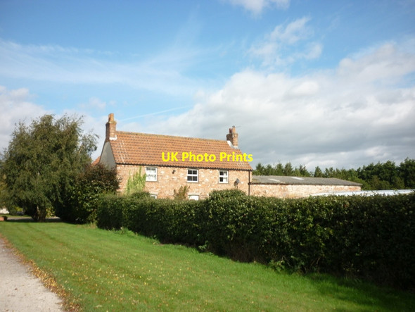 Photo 6"x4" Carr House Farm Tickton c2011