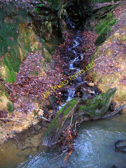 Photo 6"x4" Stream joins Crowborough Ghyll, Jeffrey's Wood Crowborough\/TQ5130 c2007