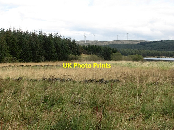 Photo 6"x4" Wetland by the River Carron River Carron\/NS6684 c2011