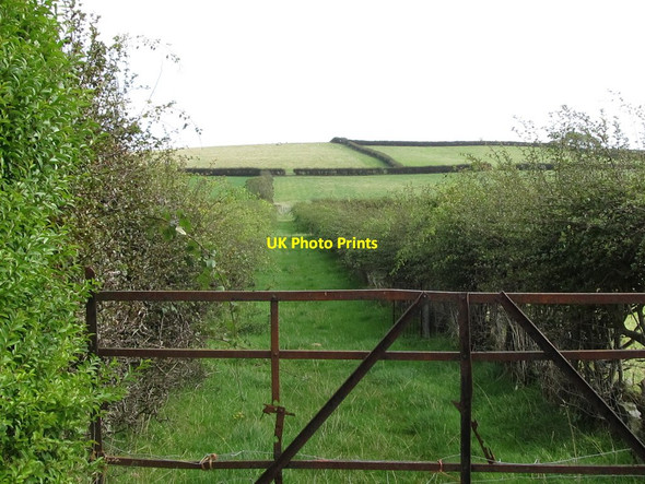 Photo 6"x4" Field access lane off the Crew Road Ardglass c2011