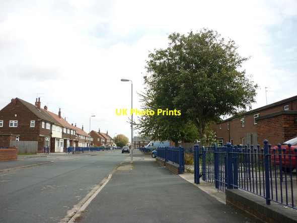 Photo 6"x4" Troutsdale Grove off Bilsdale Grove Summergangs c2011