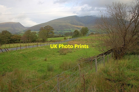 Photo 6"x4" Fence near Wanthwaite Birkett Mire c2011