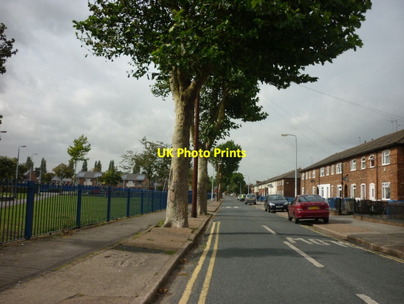 Photo 6"x4" St John's Grove Marfleet c2011