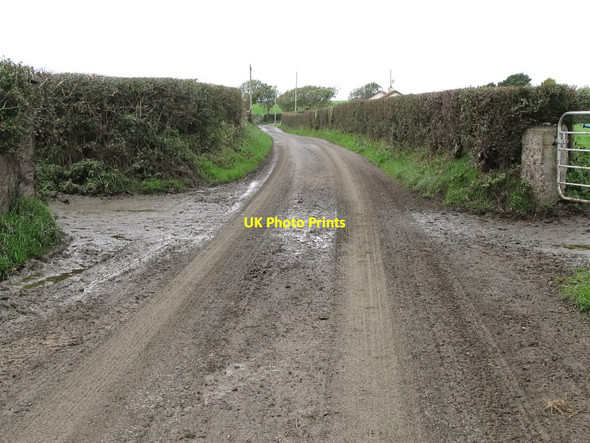 Photo 6"x4" Mud on the Tollumgrange Road near Churchtown Bishops Court\/J5642 c2011