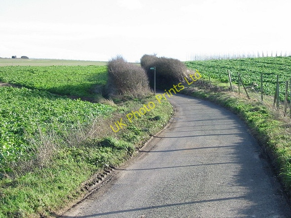 Photo 6"x4" Looking SE towards Shepherds Close. Bekesbourne c2007