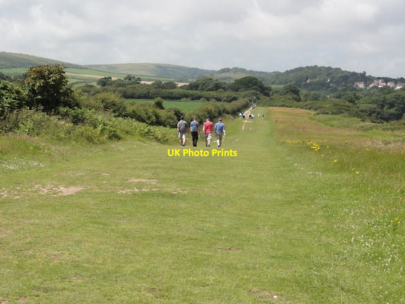 Photo 6"x4" The Long Straight Path Studland c2011