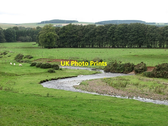 Photo 6"x4" Earnscleugh Water Lauder c2011
