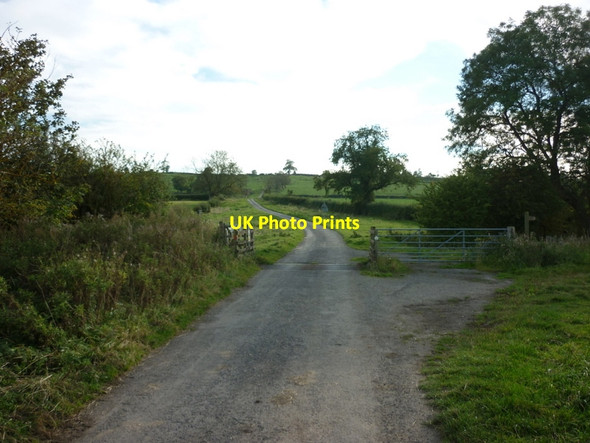 Photo 6"x4" Looking south along Luddith Road North Grimston c2011