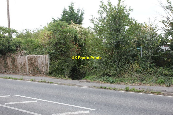 Photo 6"x4" Gap in the hedge Harwell\/SU4989 c2011
