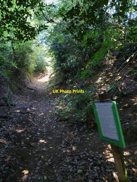 Photo 6"x4" Bridleway known as Dibdene Lane Lordshill Common c2011