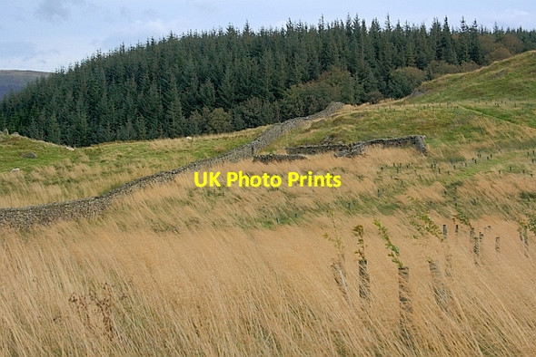 Photo 6"x4" Sheepfold at Gate Crags Longthwaite\/NY4322 c2011