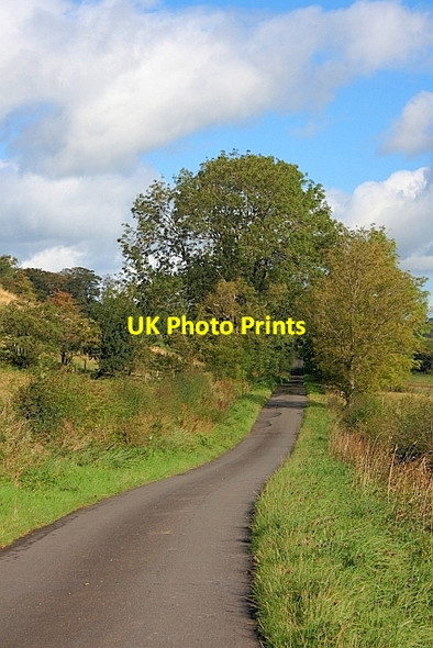 Photo 6"x4" Lane to Greaves Waterfoot\/NY4524 c2011