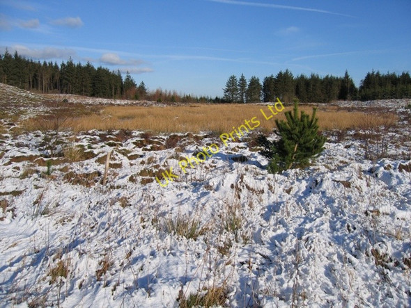 Photo 6"x4" Lake in the Clwyd Forest Loggerheads\/SJ1862 c2007