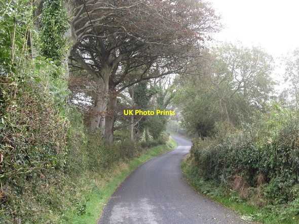Photo 6"x4" View eastwards along Erenagh Road Downpatrick c2011