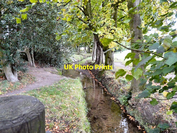 Photo 6"x4" Poise Beck Hazel Grove\/SJ9286 c2011