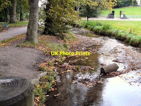 Photo 6"x4" Poise Beck Hazel Grove\/SJ9286 c2011