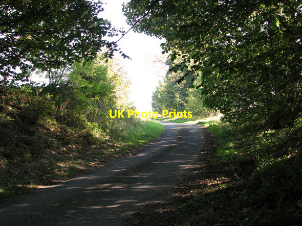 Photo 6"x4" Lane through Hill Side Plantation, Saxby All Saints Saxby All Saints c2011