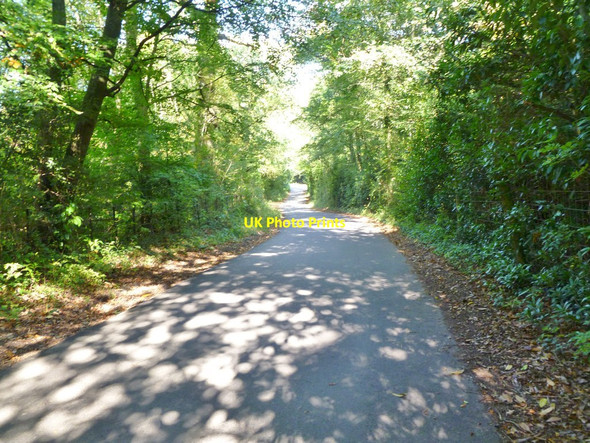 Photo 6"x4" Bank, Pinkney Lane Bank\/SU2807 c2011