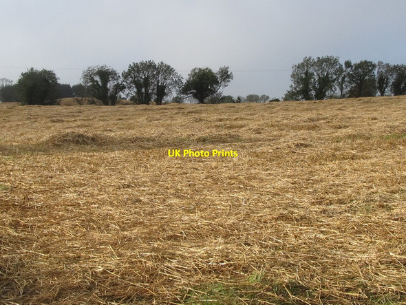 Photo 6"x4" Straw awaiting the arrival of the baler Clough\/J4040 c2011