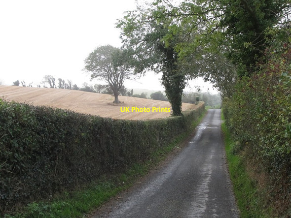 Photo 6"x4" Harvested field on a drumlin slope above the Tobercorran Road Clough\/J4040 c2011