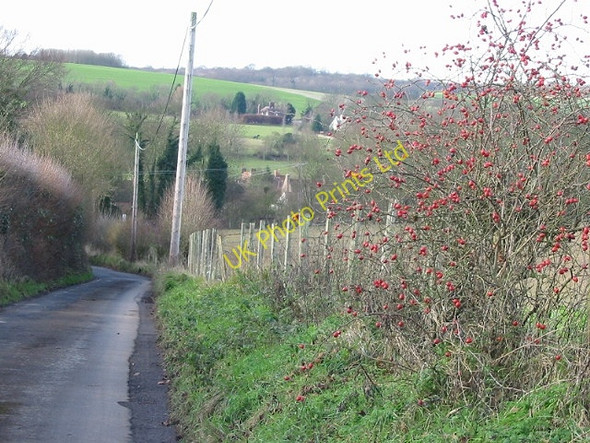 Photo 6"x4" View down Rose Lane, Bishopsbourne. Bishopsbourne c2007