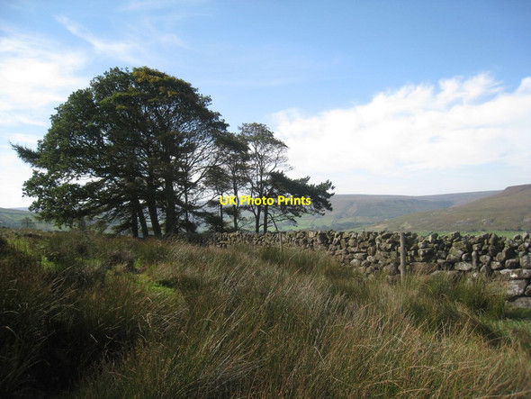 Photo 6"x4" Above Westerdale Westerdale\/NZ6605 c2011