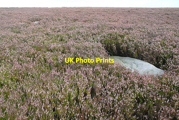 Photo 6"x4" Egton High Moor Upper Heads c2011 P1