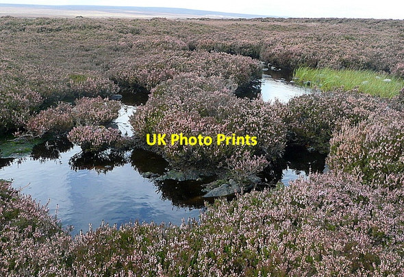 Photo 6"x4" Egton High Moor Upper Heads c2011 P2