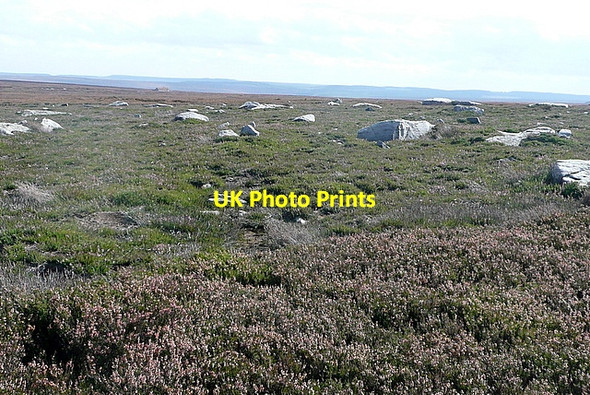 Photo 6"x4" On Egton High Moor Key Green\/NZ8004 c2011