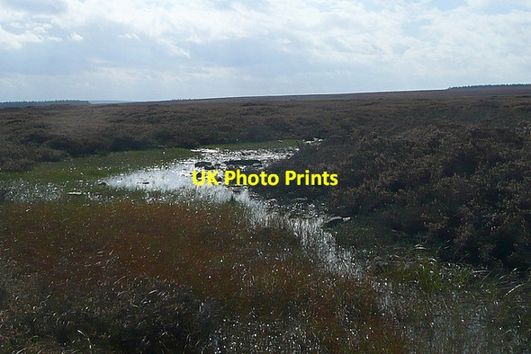 Photo 6"x4" On Egton High Moor Key Green\/NZ8004 c2011 P1