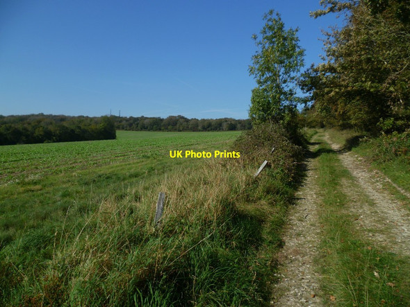 Photo 6"x4" Bridleway east of Great Bottom Bignor c2011
