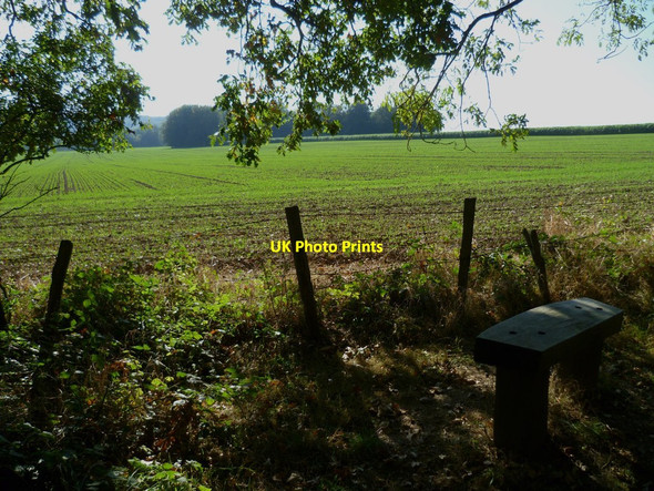 Photo 6"x4" Seat by bridleway near Warren Barn Madehurst c2011