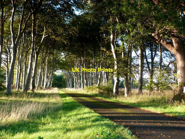 Photo 6"x4" Driveway to Allan House Arabella c2011